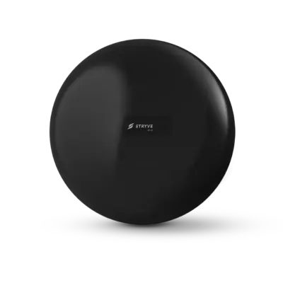 STRYVE Balance Ball